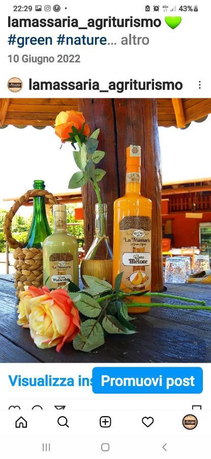 La Massaria Bed & Breakfast Авелино Екстериор снимка